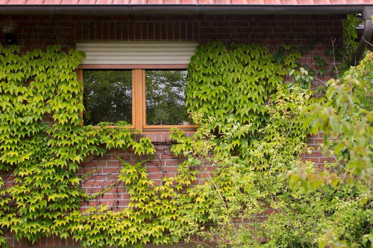 Ferienwohnung Meinersen Exteriér fotografie